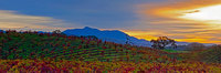 Panoramic Scenes