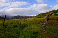 Tropical Landscapes (New)