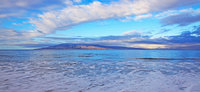 Tropical Seascapes (New)