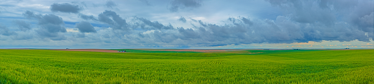 FLOWING FIELDS
-- © Copyright 2021 Jaz Fabry Fine Art --