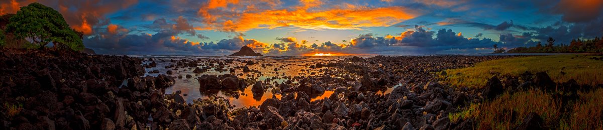 MAUI MAGIC
-- © Copyright 2022 Jaz Fabry Fine Art --