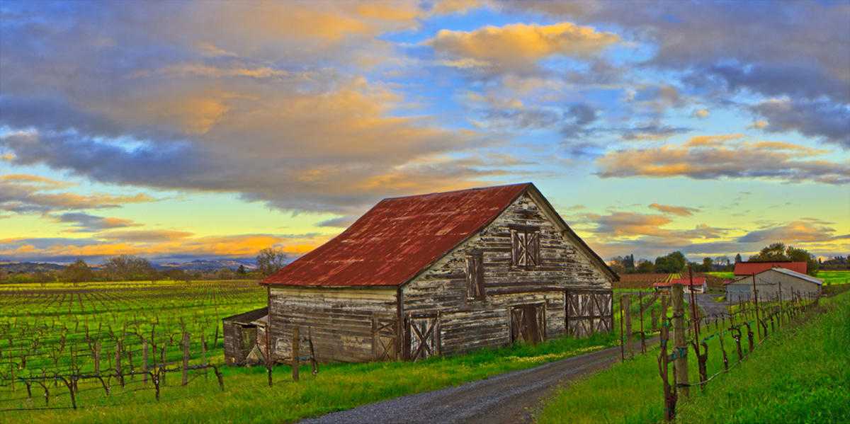 BIG BARN
         -- © Copyright 2024 Jaz Fabry Fine Art --