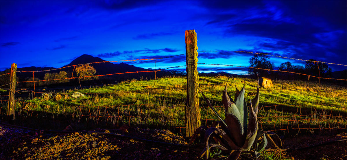 NIGHT MOVES
-- © Copyright 2021 Jaz Fabry Fine Art --