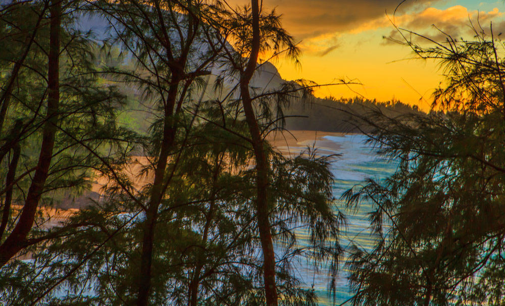 SECLUDED BEACH
-- © Copyright 2022 Jaz Fabry Fine Art --